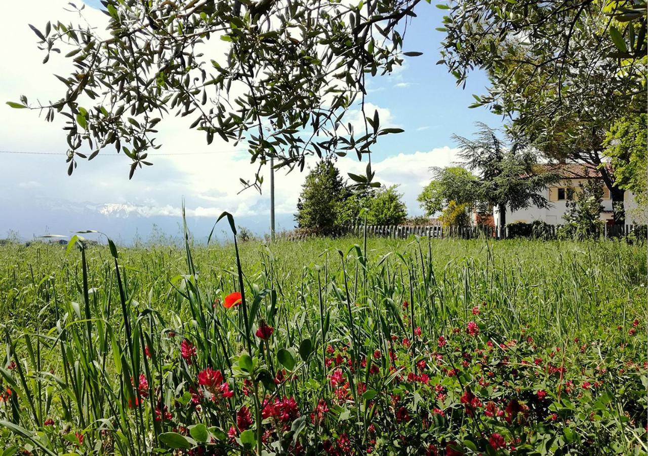 Casa Amrita, Yoga B&B Teramo Buitenkant foto
